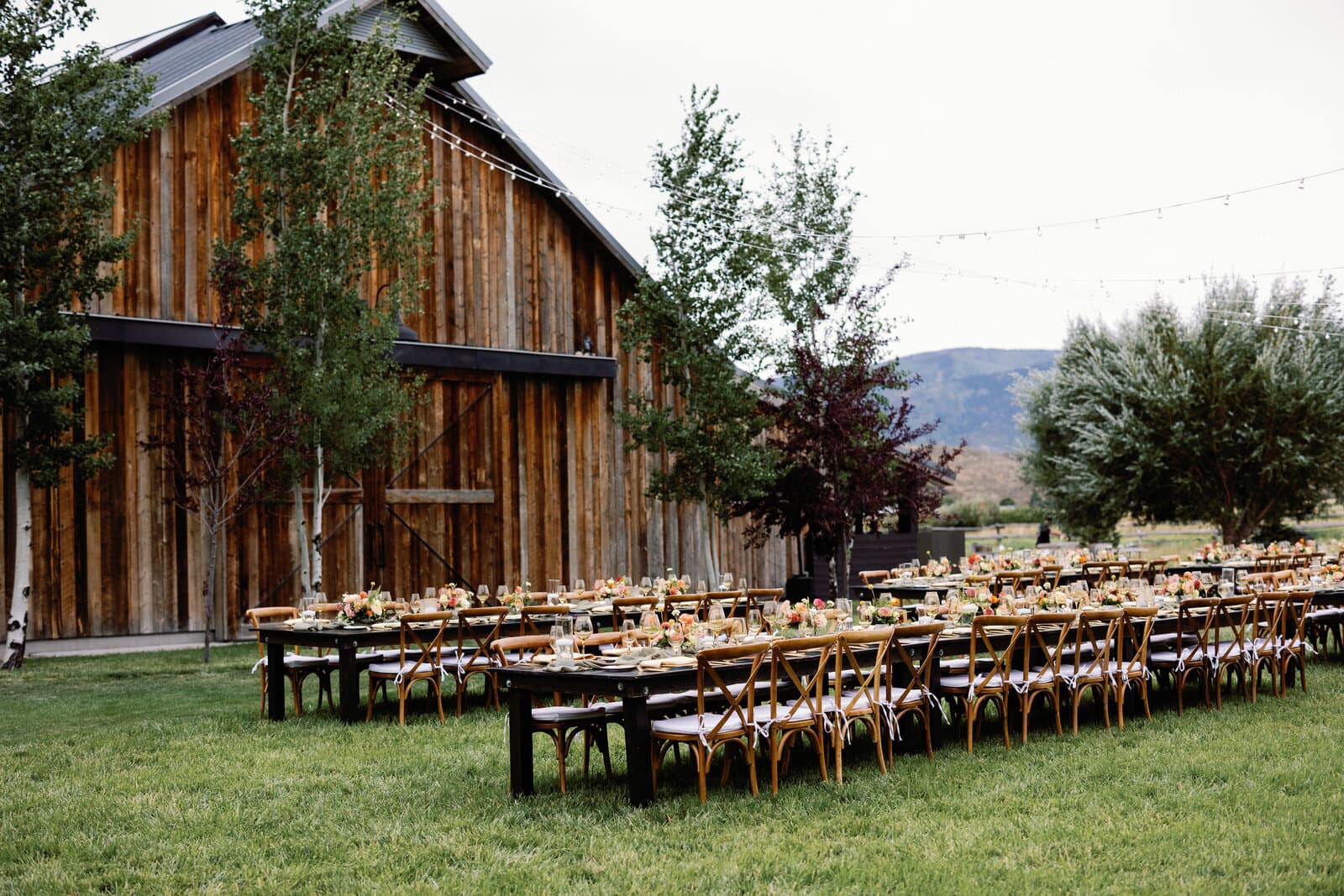 Breen & Coley wedding