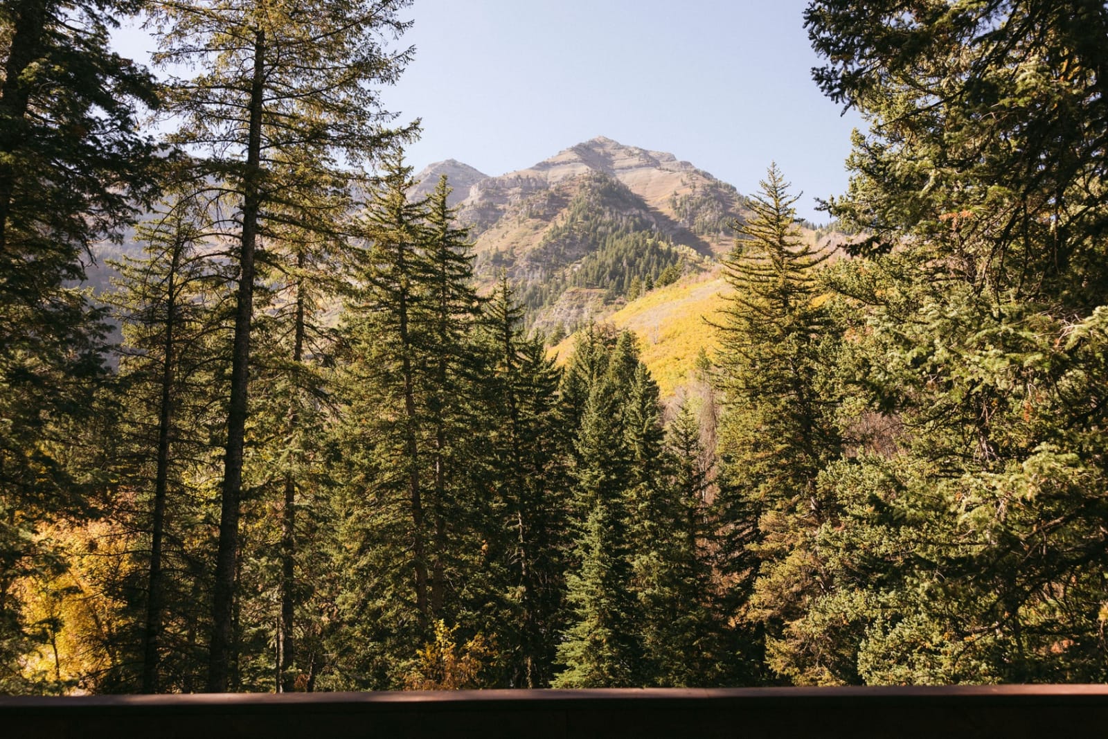 Mountain landscape with fall colors